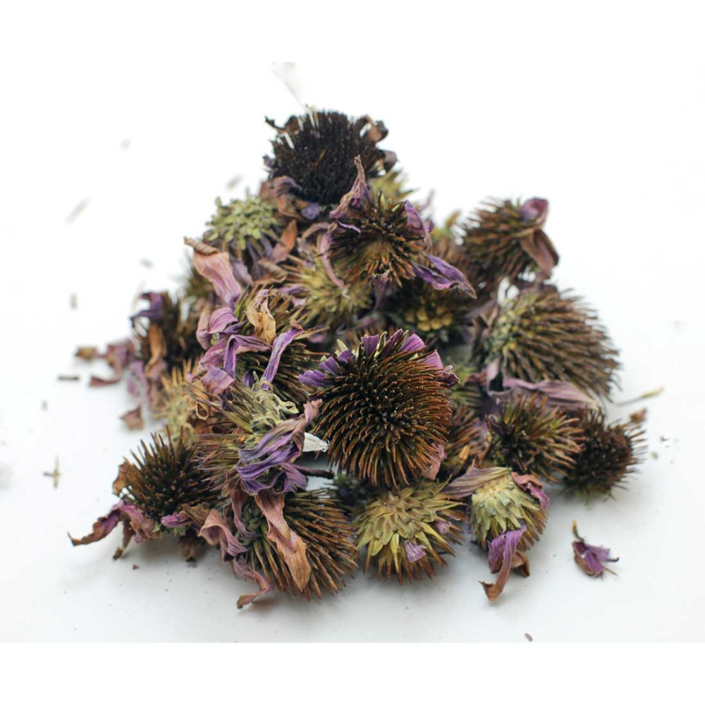 Echinacea flowers, organic Greek