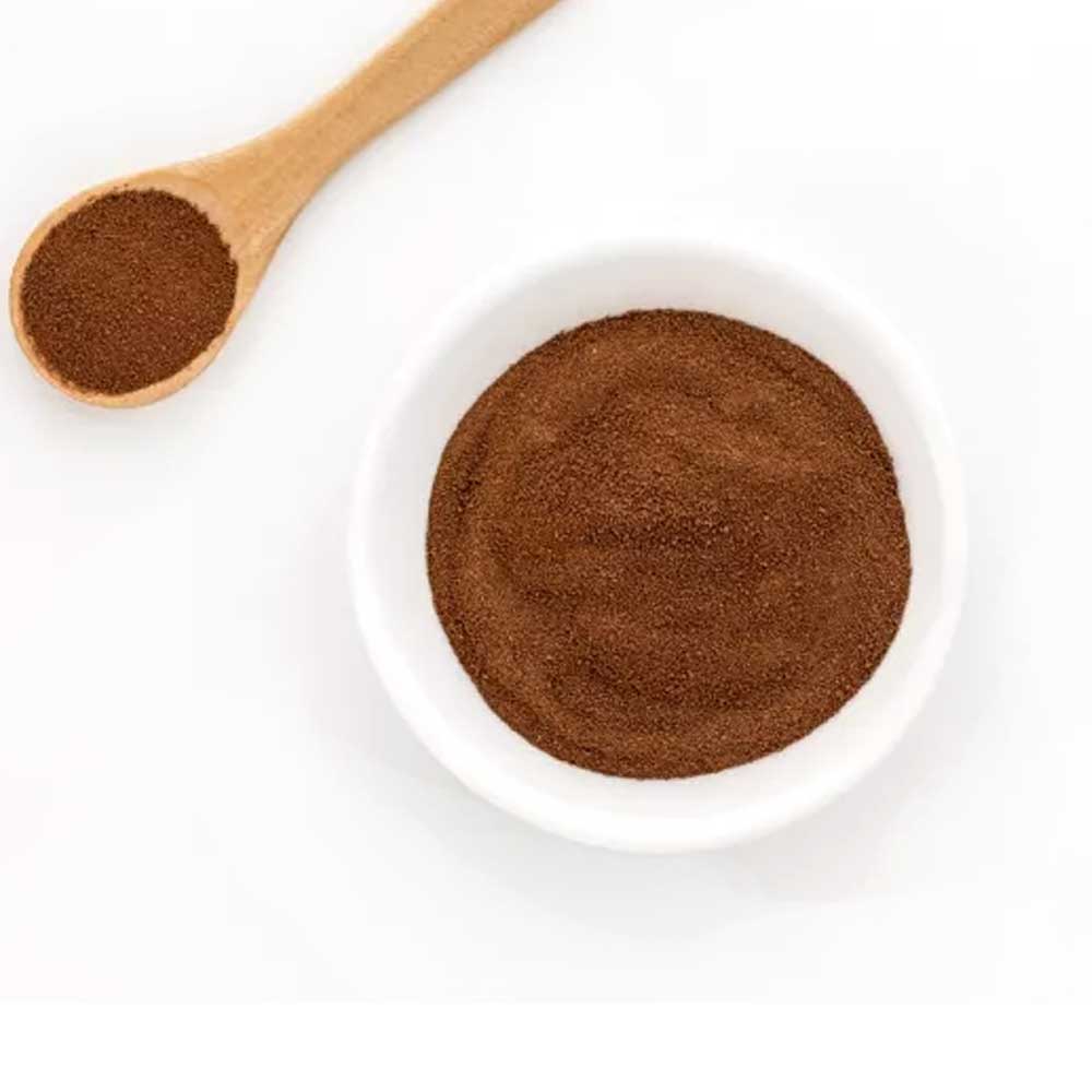 Γανόδερμα (reishi) μανιτάρι σκόνη BIO 100 γρ.