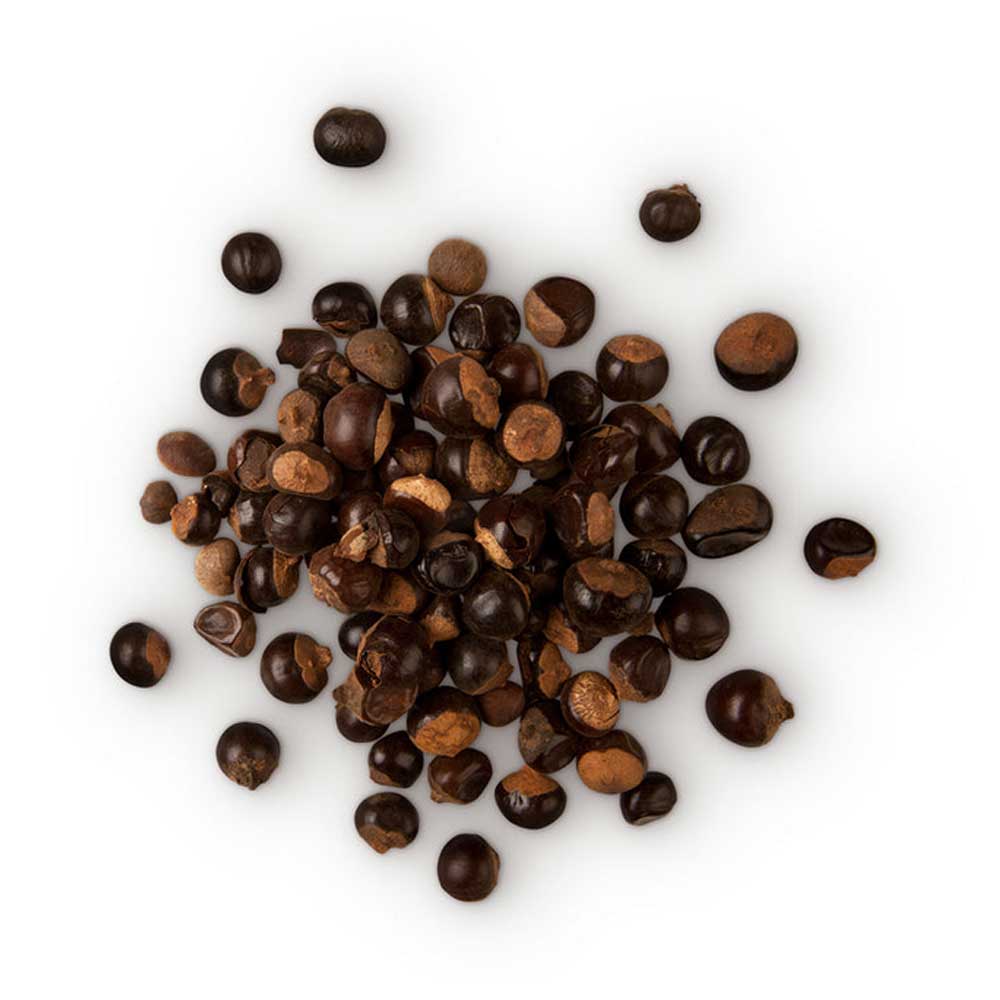 Guarana whole seeds from Brazil