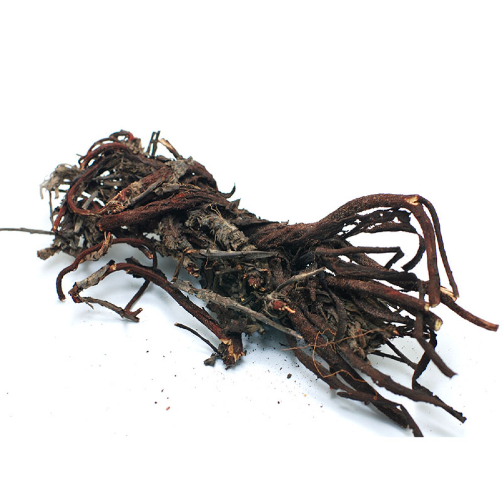 Alkanet root