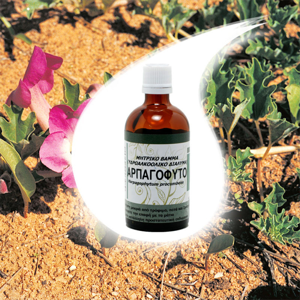 Devil's Claw Tincture 50ml