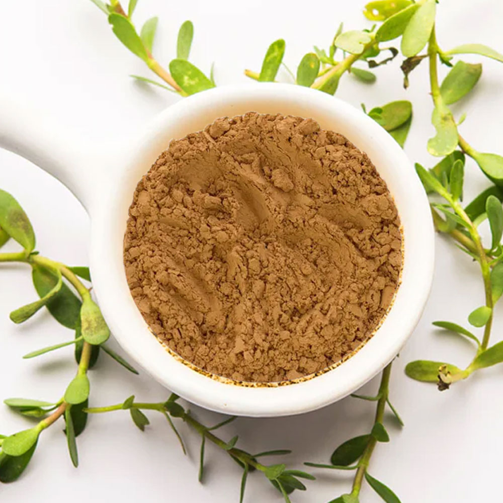 Brahmi (Bacopa monnieri) βότανο σε σκόνη BIO 100 g