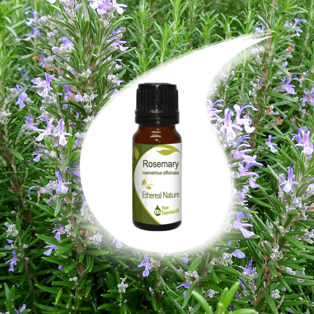 Rosemary essential oil 10ml