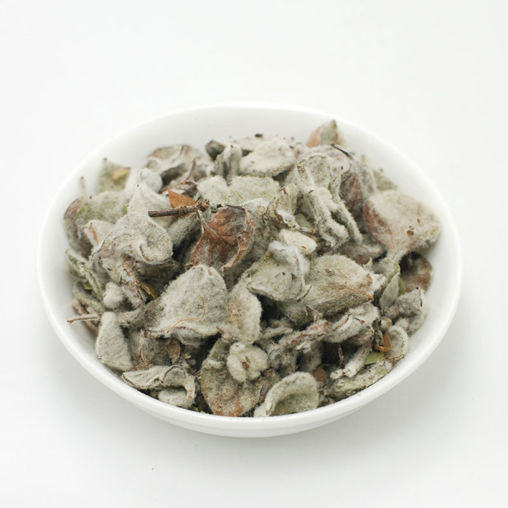 Cretan dittany herb