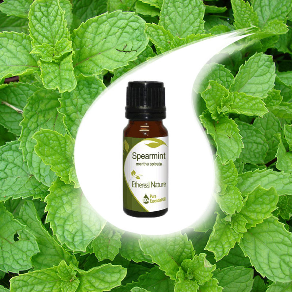 Spearmint essential oil 10ml