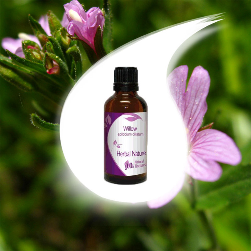 Willowherb Tincture 50ml
