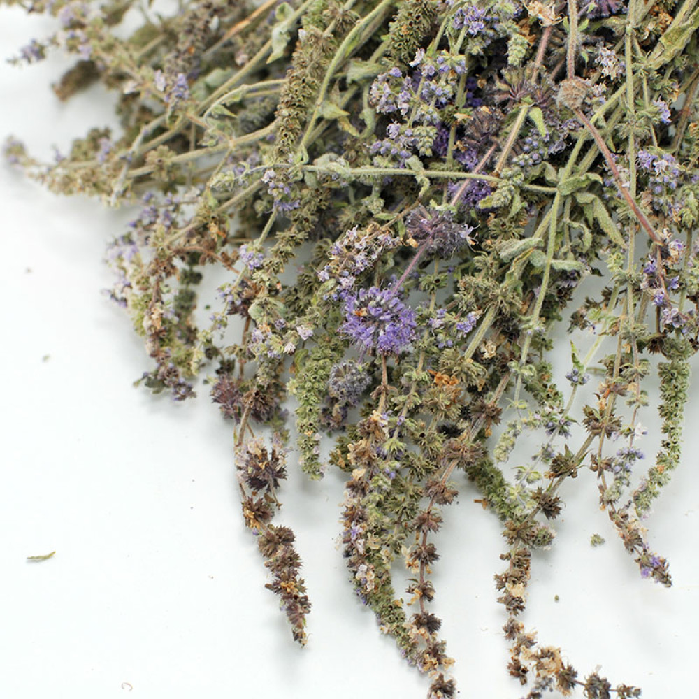 Pennyroyal (wild mint) Greek herb bunch