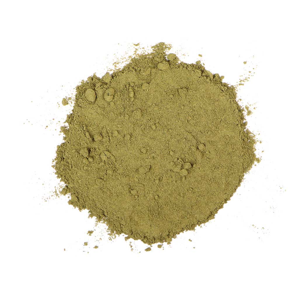 Ginkgo biloba leaf powder 100 g
