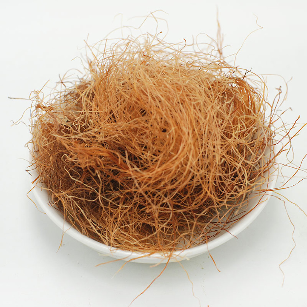 Corn silk
