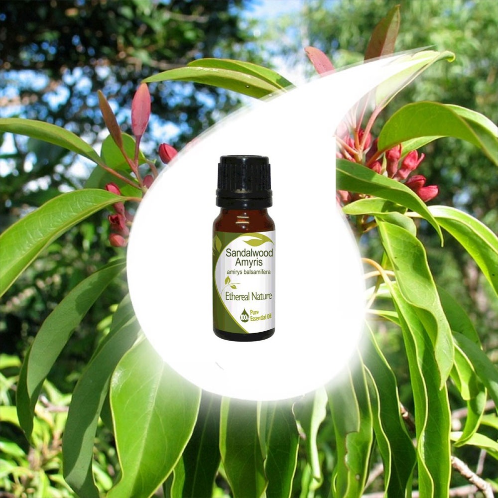 Amyris essential oil 10ml