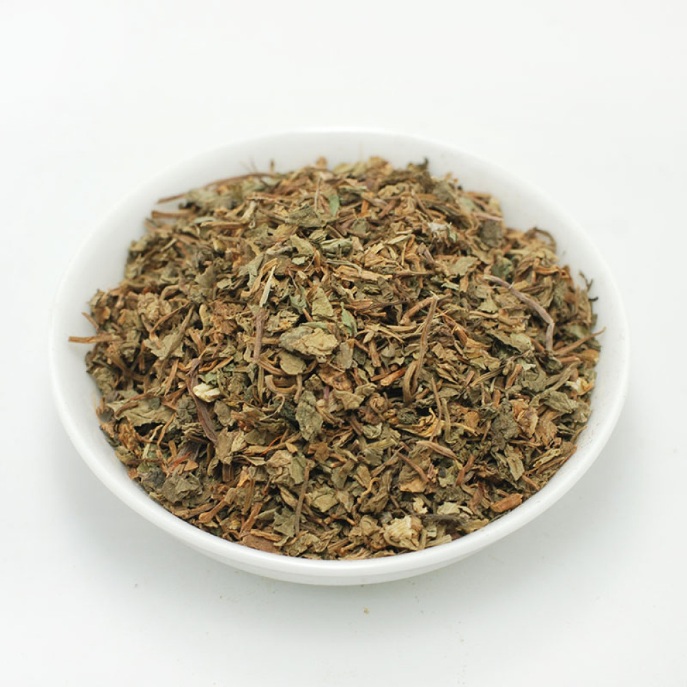 Gotu kola herb