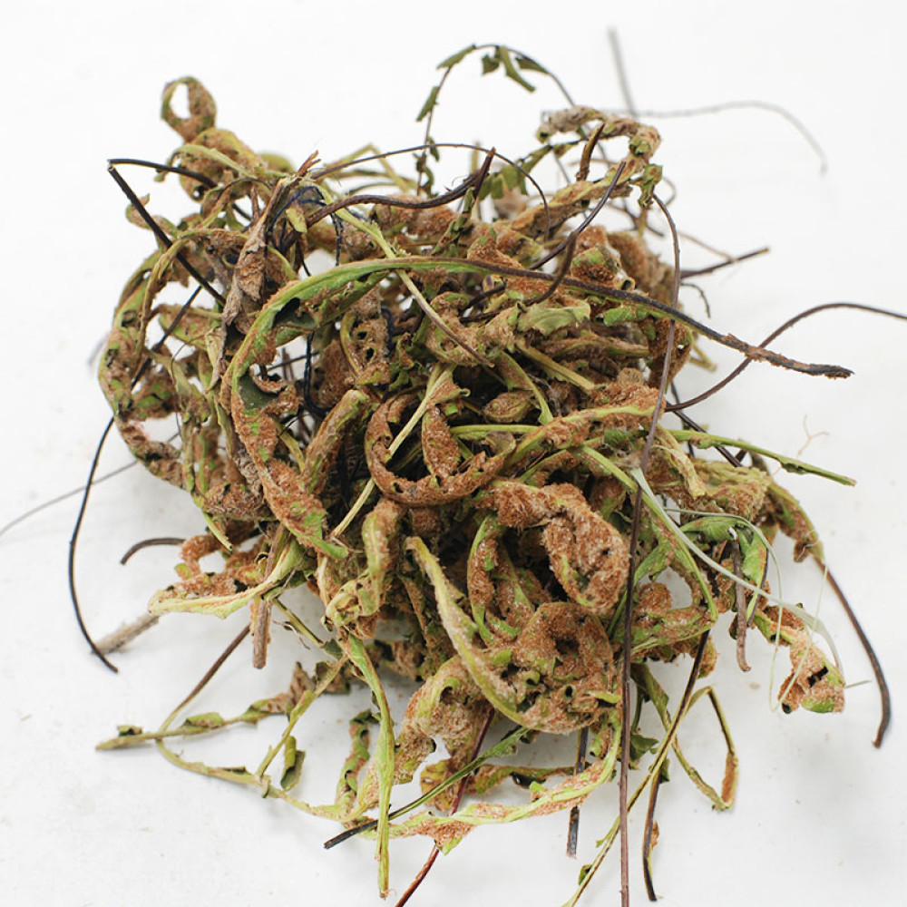 Rustyback herb