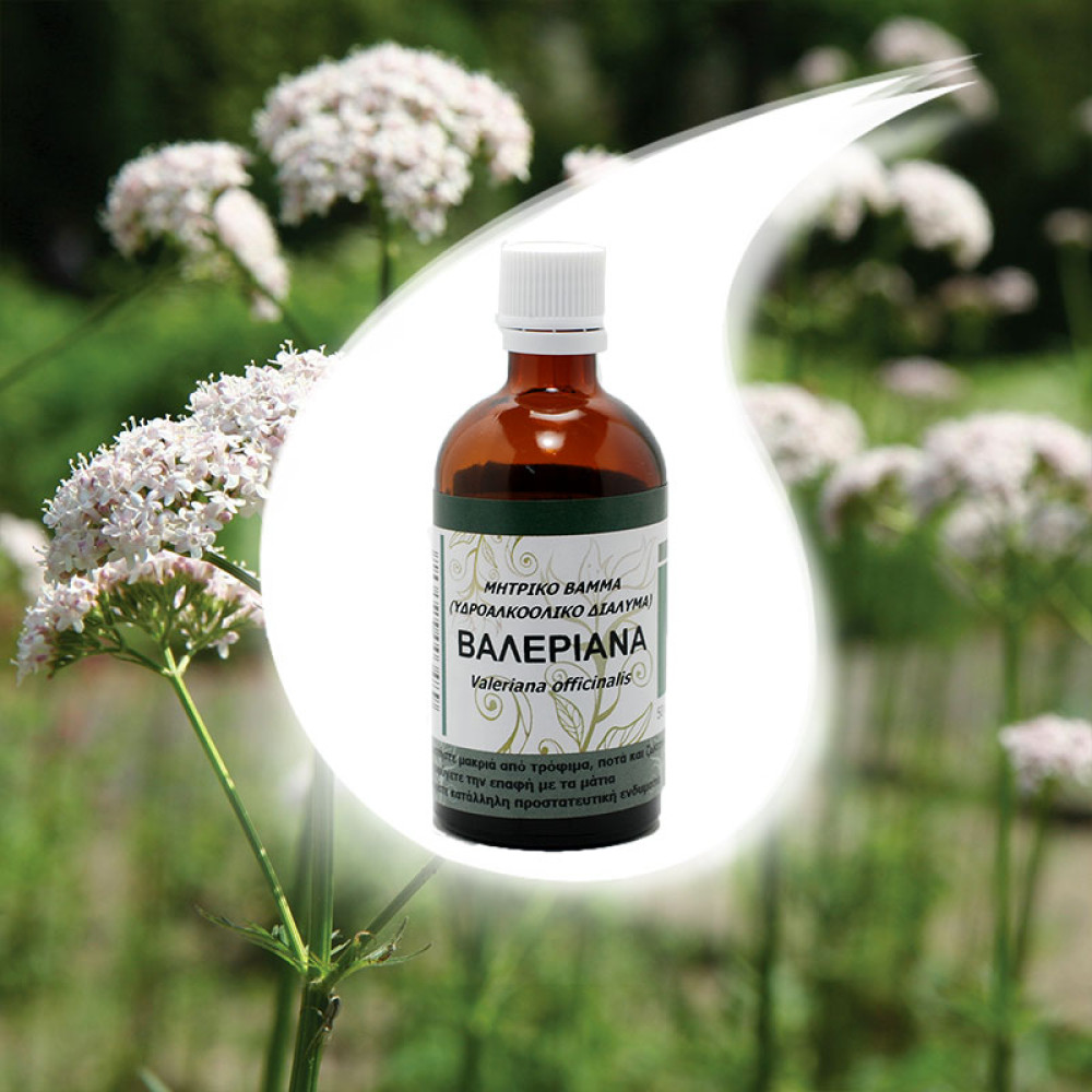 Βαλεριάνα βάμμα 50ml